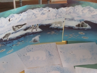«Животный мир Арктики и Антарктики»